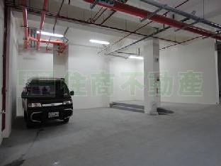 照片6