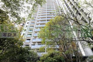 「惠宇仁美」的圖片搜尋結果