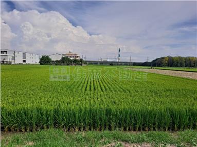 彰化竹塘美農地房屋室內格局與周邊環境