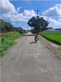 彰化竹塘美農地房屋室內格局與周邊環境