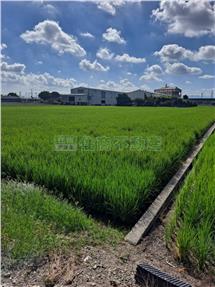 彰化竹塘美農地房屋室內格局與周邊環境
