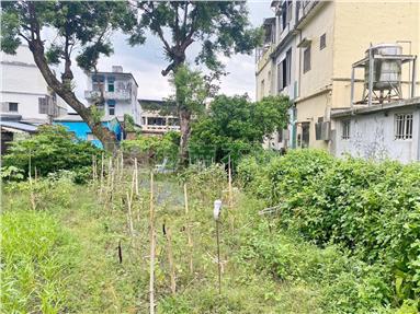 頭城運動公園80坪建地房屋室內格局與周邊環境