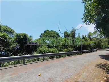 頭城山海美景優質林地房屋室內格局與周邊環境