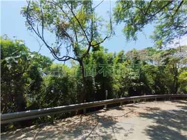 頭城山海美景優質林地房屋室內格局與周邊環境