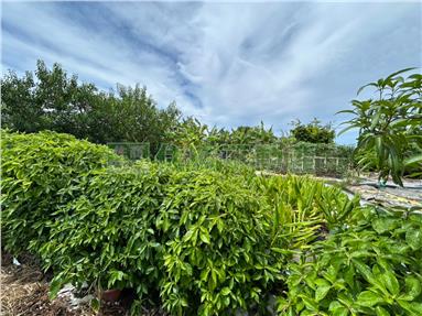 G08壯圍鄉永美開心農場房屋室內格局與周邊環境