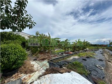 G08壯圍鄉永美開心農場房屋室內格局與周邊環境
