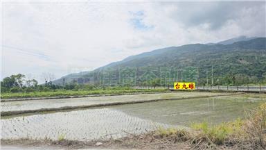 黃金農地正台九線旁房屋室內格局與周邊環境