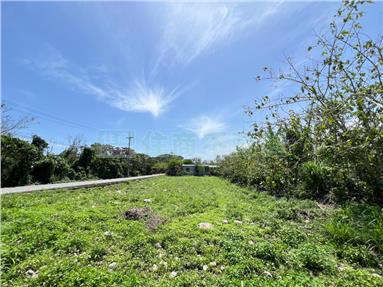 新城老街原保農地房屋室內格局與周邊環境