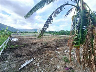 新城近海低總價方正路都內農地房屋室內格局與周邊環境