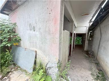 海星高中旁大平房房屋室內格局與周邊環境