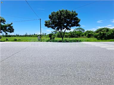 景美加灣鄰台九線方正大面寬農地房屋室內格局與周邊環境