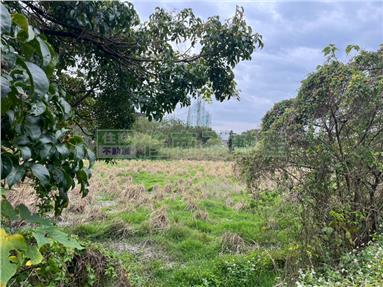 平鎮平德臨路平坦特農土地房屋室內格局與周邊環境