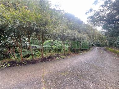 金車伯朗龜山島山坡地碳權房屋室內格局與周邊環境