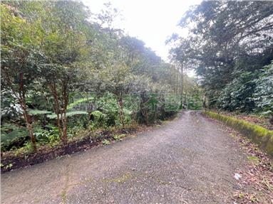 金車伯朗龜山島山坡地碳權房屋室內格局與周邊環境