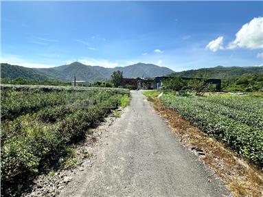 冬山鄉梅山段茶園兩筆土地房屋室內格局與周邊環境