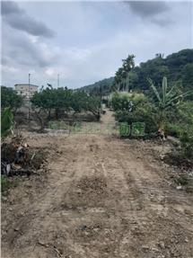 南投國姓臨路大農地房屋室內格局與周邊環境