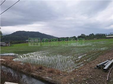 大禹臨路農+建房屋室內格局與周邊環境