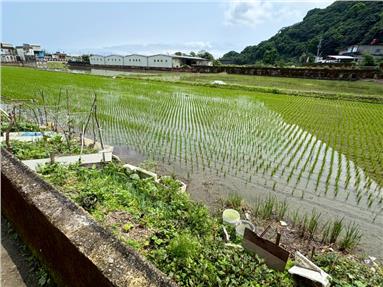 蘇澳省道旁大面寬乙種工業用地A房屋室內格局與周邊環境