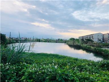 五結方正漂亮路邊養殖農地房屋室內格局與周邊環境