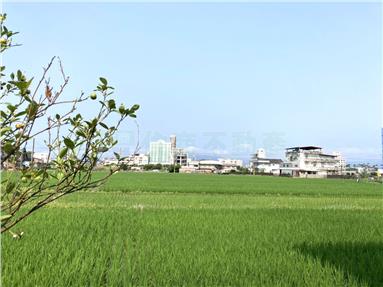 藝術家邊間美透天房屋室內格局與周邊環境