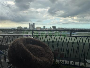 楊梅幼獅電梯房屋室內格局與周邊環境