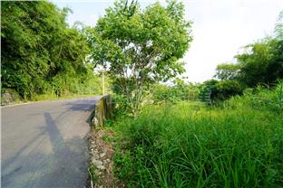 C3186貓貍公園休閒地房屋室內格局與周邊環境