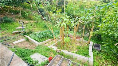 C6061通宵向陽蔚藍之星10房屋室內格局與周邊環境