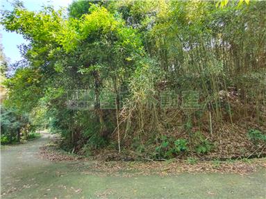 三義景觀農加建(懷舊三合院)房屋室內格局與周邊環境
