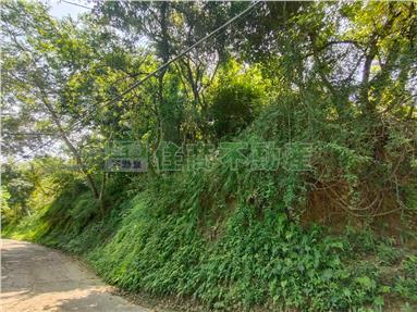 陽光山林6分大坪數農地房屋室內格局與周邊環境