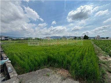 公館黃金休閒千坪農地房屋室內格局與周邊環境