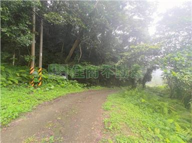 【猛哥賣厝】峨眉水濂洞林地
