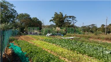 龍潭市區大池都計內農地房屋室內格局與周邊環境