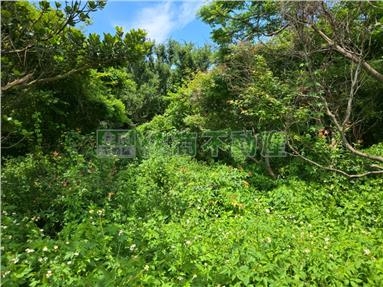 新豐休閒農保田房屋室內格局與周邊環境