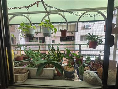 睦家*藝文特區2+1房房屋室內格局與周邊環境