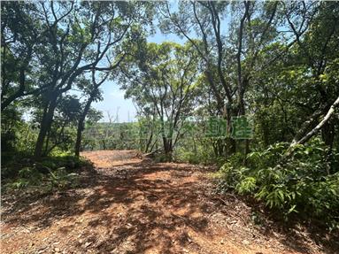 林口低總價都內臨路農地35房屋室內格局與周邊環境