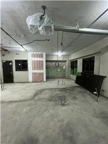 青埔A18新潤收租金雞母