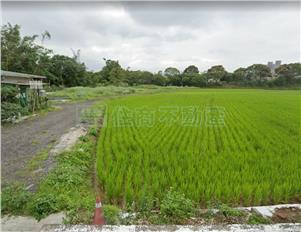 龍潭石門大草坪都內農房屋室內格局與周邊環境
