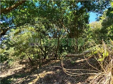龍潭渴望園區旁倉庫廠房(農+建房屋室內格局與周邊環境
