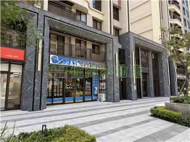 青埔A18超大面寬金店面
