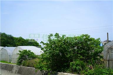 優質潛力工業地C0134房屋室內格局與周邊環境