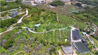 大湖果園農牧地C0418房屋室內格局與周邊環境