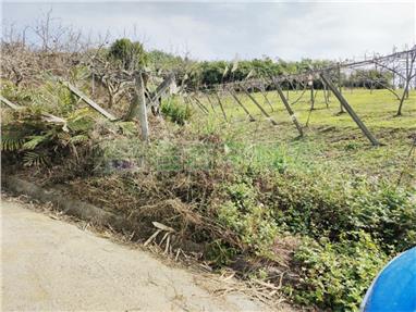 大湖果園農牧地C0418房屋室內格局與周邊環境