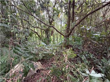 關西錦山臨溪平坦便宜農地房屋室內格局與周邊環境