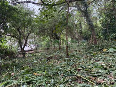 關西錦山臨溪平坦便宜農地房屋室內格局與周邊環境