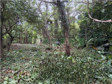 關西錦山臨溪平坦便宜農地房屋室內格局與周邊環境