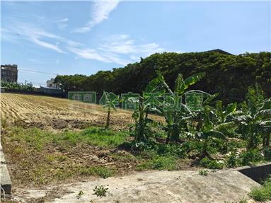 新豐雙臨路美田(有資材室)房屋室內格局與周邊環境
