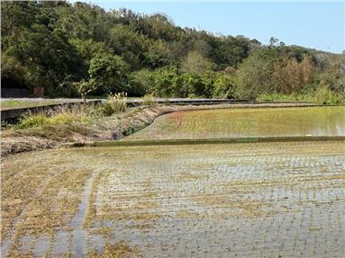 三灣景觀美田房屋室內格局與周邊環境