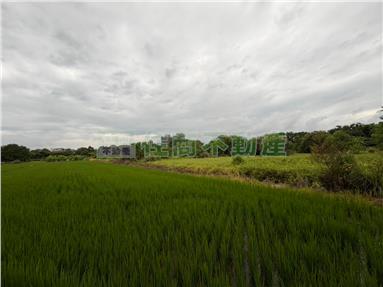 竹南公館子段便宜農地房屋室內格局與周邊環境