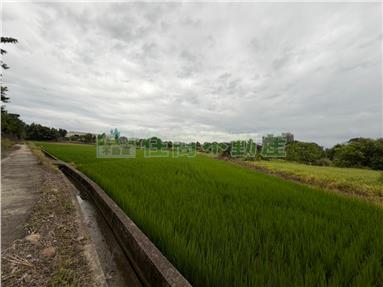 竹南公館子段便宜農地房屋室內格局與周邊環境