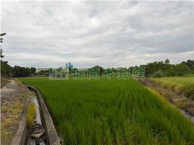 竹南公館子段便宜農地房屋室內格局與周邊環境